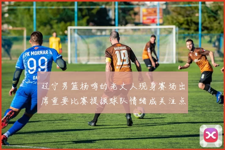 辽宁男篮杨鸣的老丈人现身赛场出席重要比赛提振球队情绪成关注点