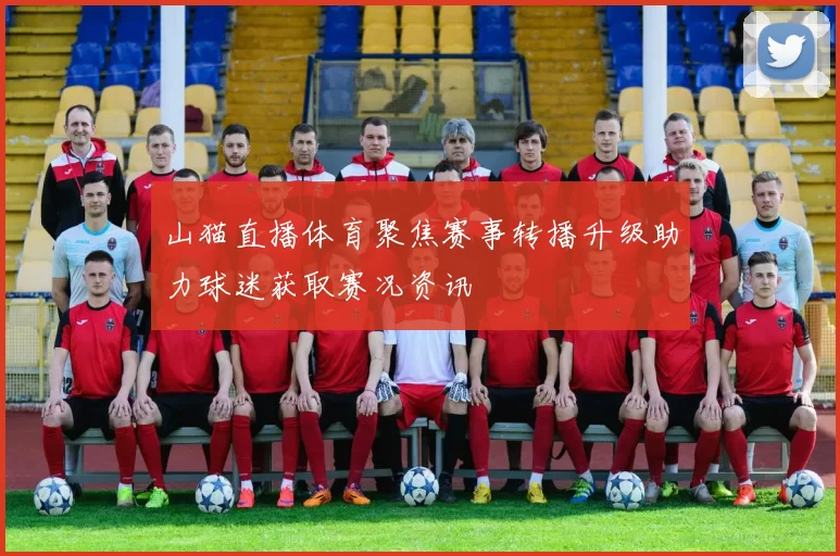 山猫直播体育聚焦赛事转播升级助力球迷获取赛况资讯