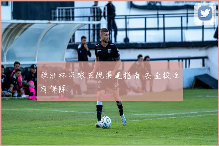 欧洲杯买球正规渠道指南 安全投注有保障
