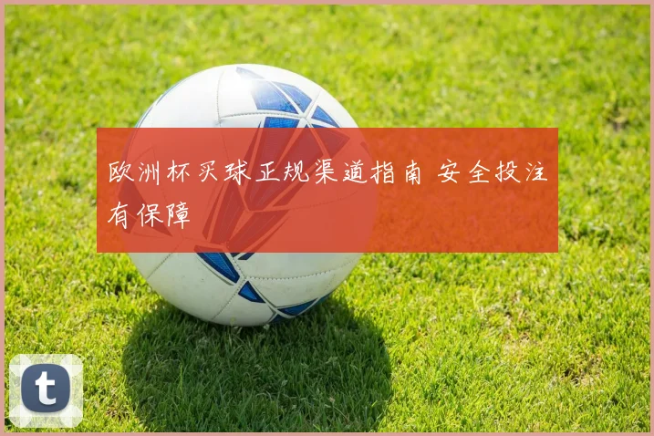 欧洲杯买球正规渠道指南 安全投注有保障